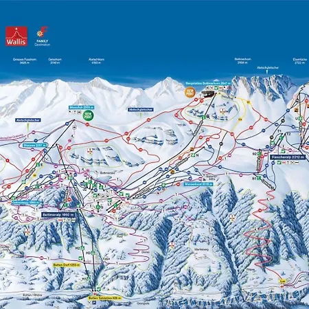 Alpengarten 4 公寓 贝特默阿尔卑